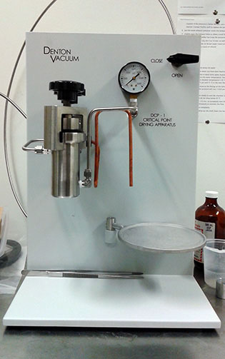 Denton DCP-1 Image of a Denton DCP-1 preparing SEM samples