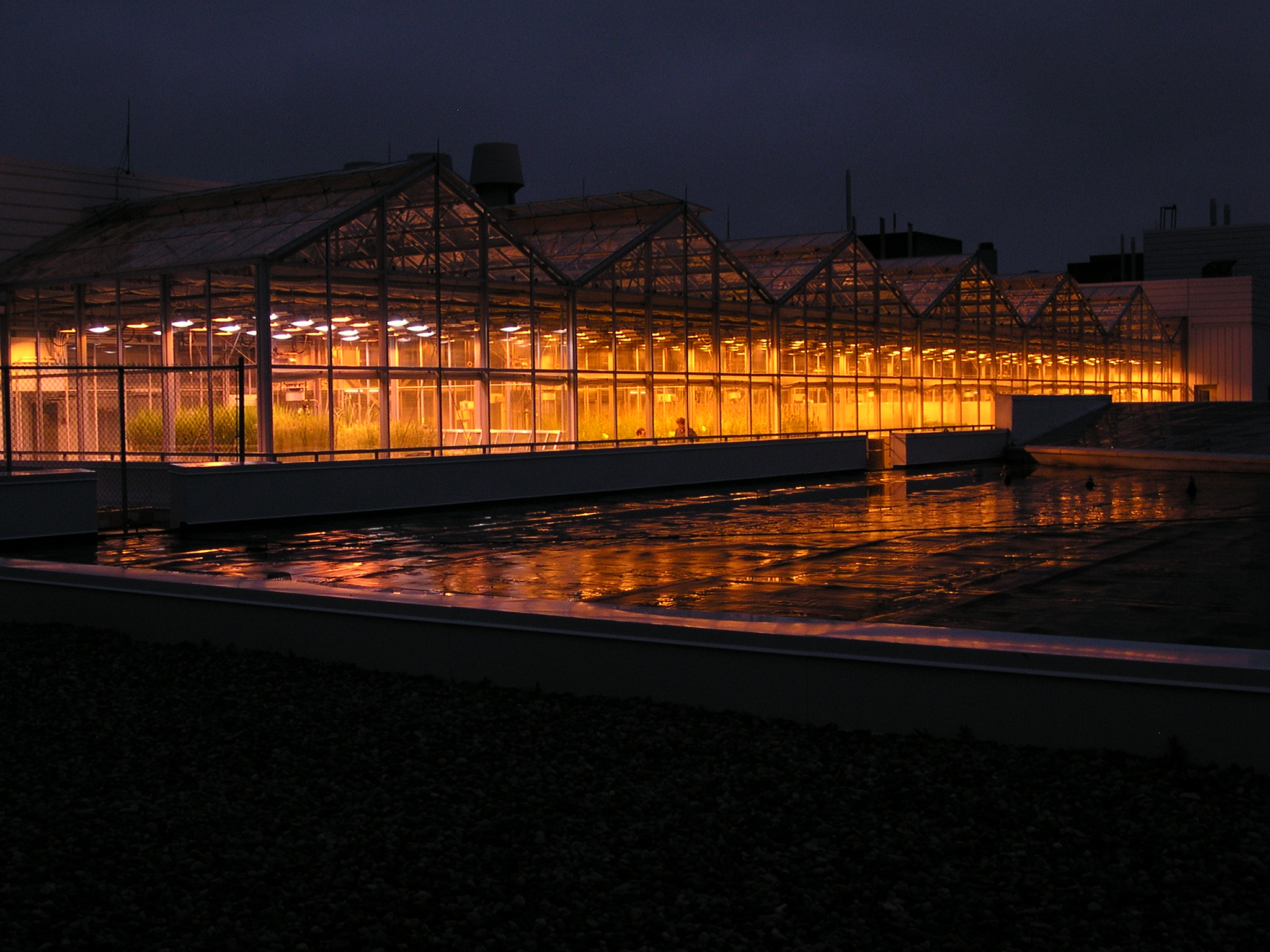 Phytotron greenhouse at night Exterior picture of greenhouse at night with all lights on
