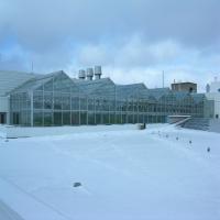 Image of the Phytotron greenhouse during the day in the winter (snow is visible)