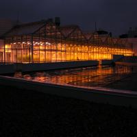 Image of the Phytotron greenhouse at night