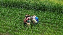 A group of students huddled together in a green field of crops