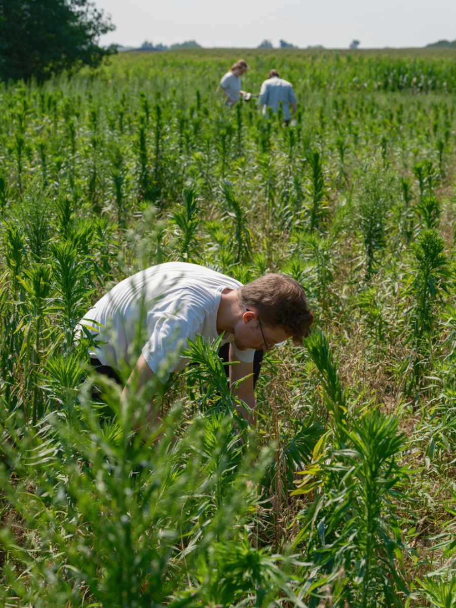 A man in a field with tall grass with people in the distance