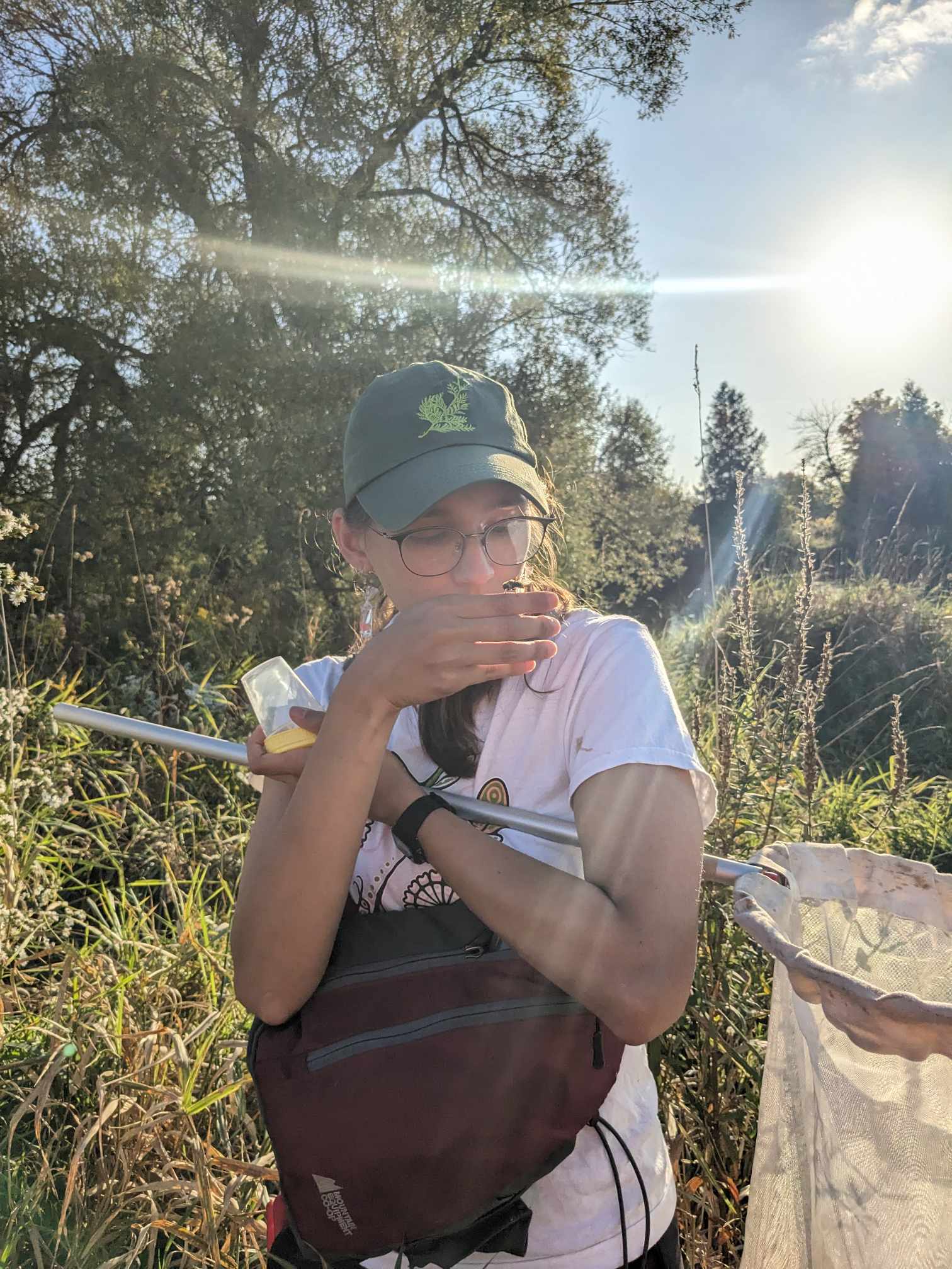 A woman holding a sweepnet and standing in a conservation area with a flower fly on her hand