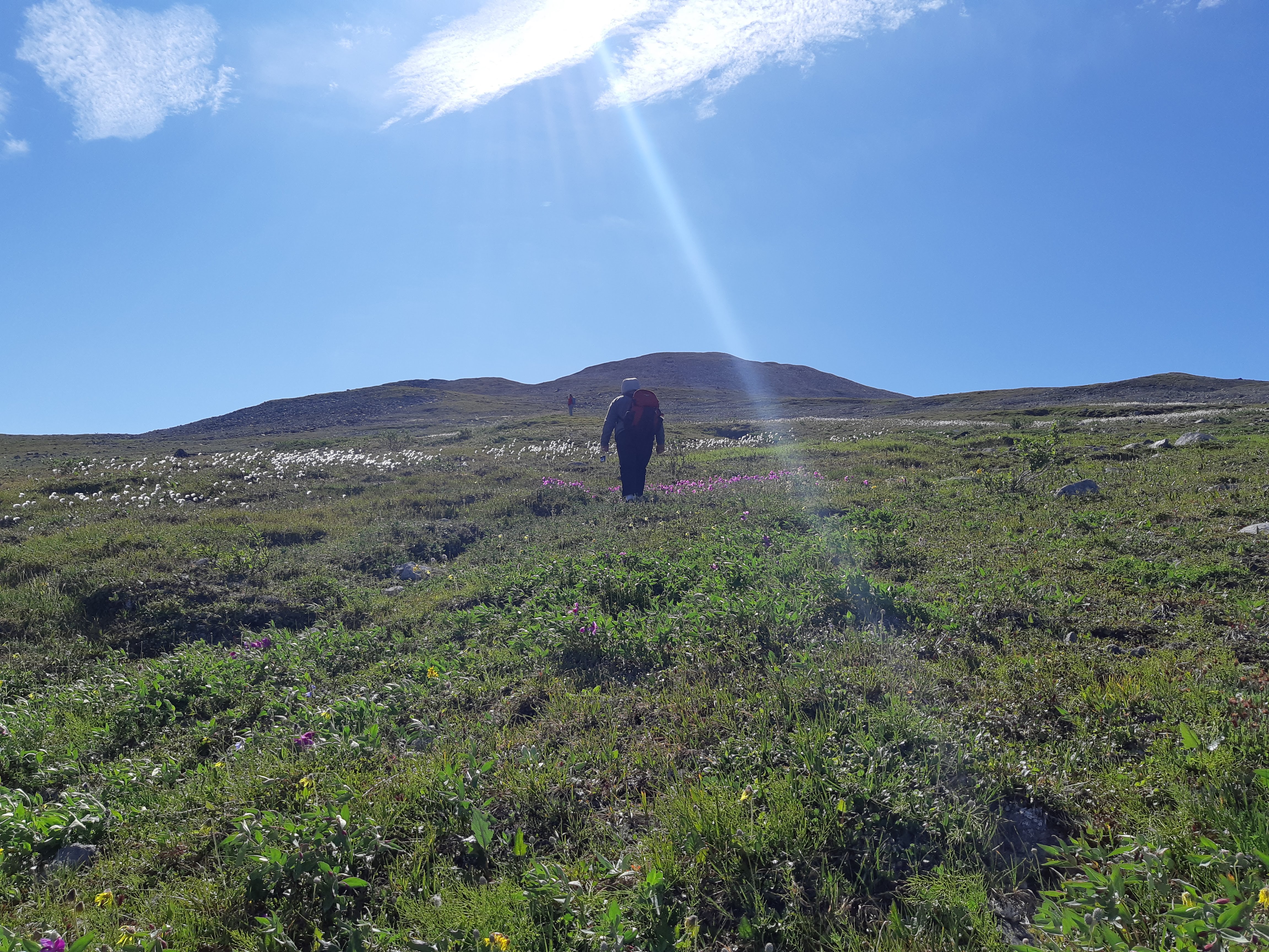 Two people climbing through a meadow towards a mountain