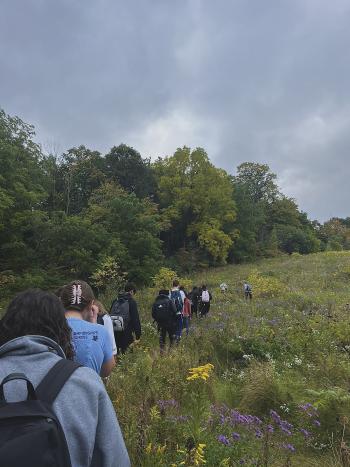 A row of students walking through a grassy area with trees on the left side.