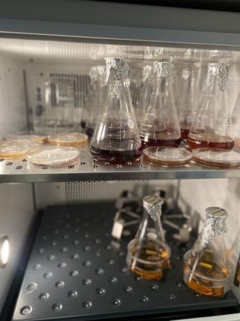 Beakers on shelves partially filled with brown coloured liquid 